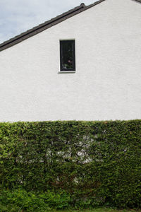 Building seen through window