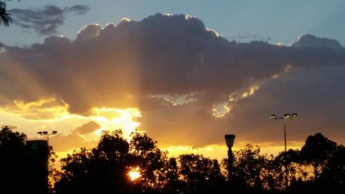 Silhouette trees against sky during sunset