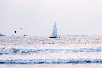 Sailboat sailing on sea against clear sky