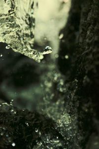 Close-up of water drops on rock
