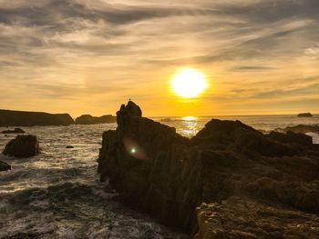 Close-up of silhouette crab on shore against sky during sunset