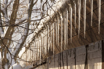 Low angle view of icicles on wall