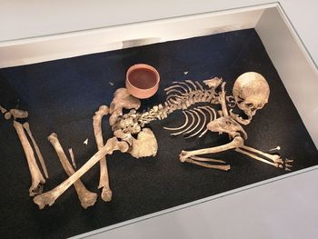 High angle view of human skull on table