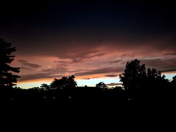 Silhouette trees against sky during sunset