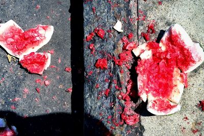 Close-up of red rose