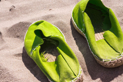 High angle view of leaf on sand