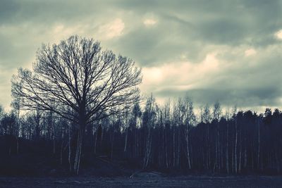 Bare trees on landscape against cloudy sky