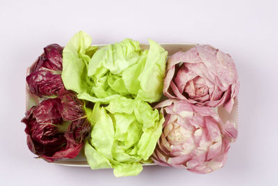 Close-up of pink flowers against white background
