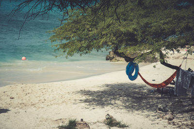 Tree at beach