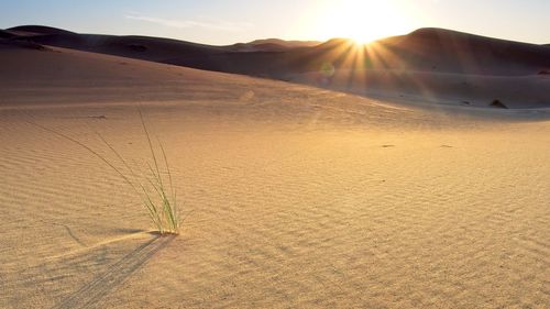 Scenic view of desert against sky during sunset
