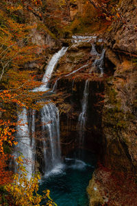 Scenic view of waterfall in forest