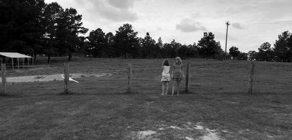 Empty field with trees in background