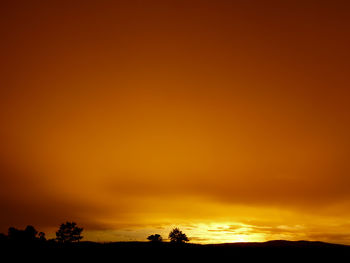 Silhouette trees against orange sky