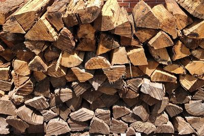 Full frame shot of logs in forest