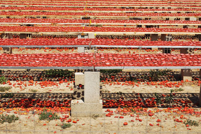 Full frame shot of red wall