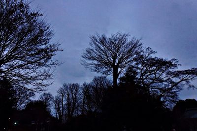 Low angle view of bare trees against sky