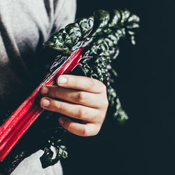 Midsection of woman holding leaf vegetable against black background