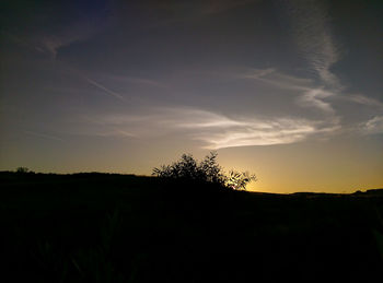 Silhouette plants on field against sky during sunset