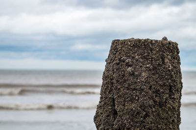Close-up of rock at sea shore against sky