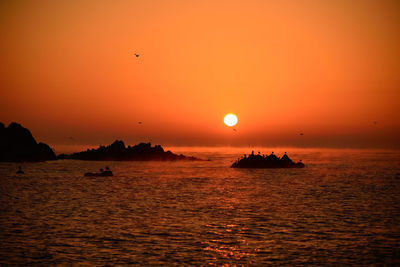 Scenic view of sea during sunset