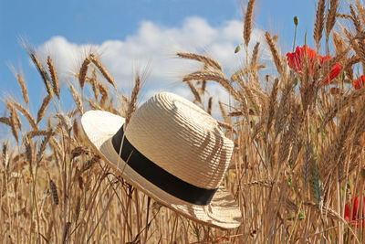 Close-up of hat on field against sky