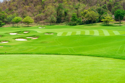 Golfcourse, beautiful landscape of a golf court with trees and green grass.