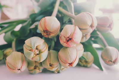 Close-up of flowers on table