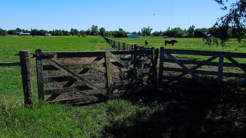 Low angle view of agricultural field against clear sky