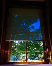 Trees against blue sky seen through window