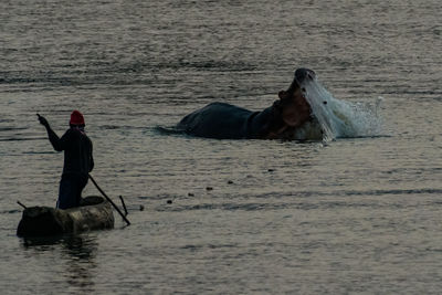 Rear view of man standing in sea