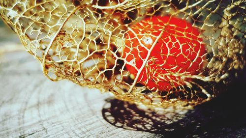 Close-up of strawberry on table