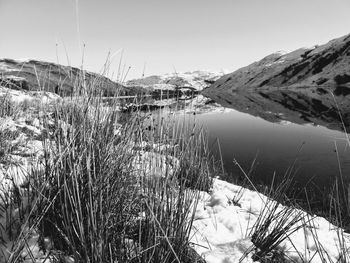 Scenic view of lake against clear sky during winter