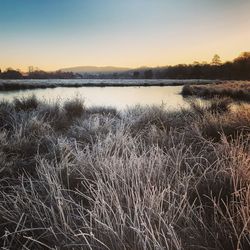 Scenic view of lake against clear sky at sunset