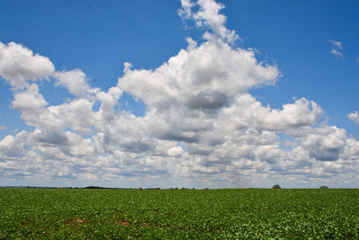 Scenic view of field against sky