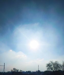 Low angle view of trees against sky