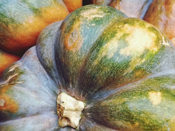 Close-up of pumpkin for sale in market