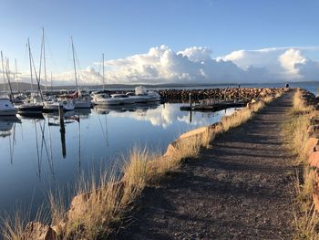 Sailboats moored in marina against sky