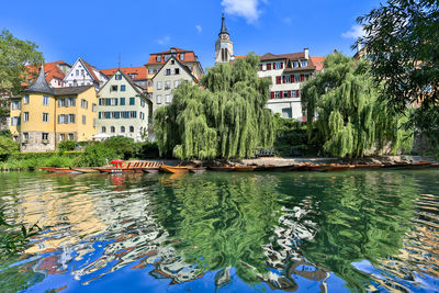 Reflection of trees and buildings in lake