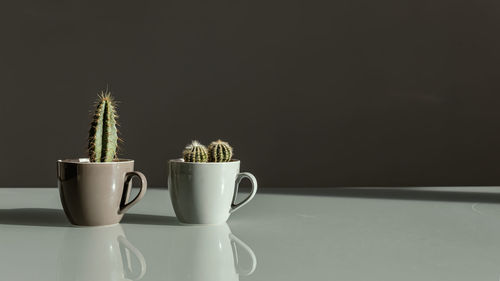 Close-up of tea served on table