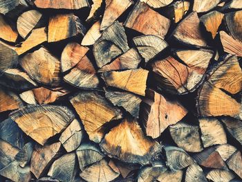 Stack of logs in forest