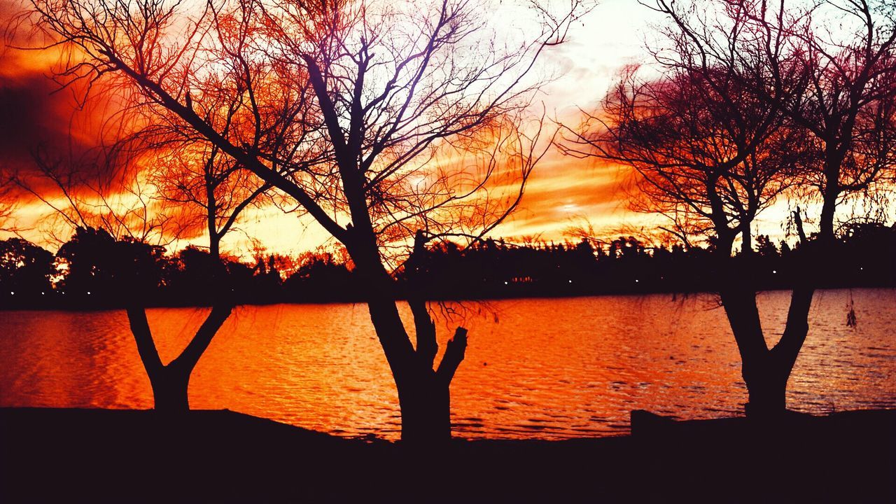 sunset, silhouette, orange color, nature, tree, beauty in nature, scenics, sky, reflection, sunlight, sun, lake, water, outdoors, tranquility, tranquil scene, real people, day