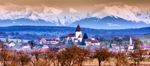 Panoramic view of trees and buildings against sky during winter