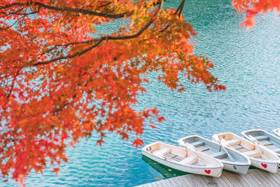 High angle view of trees by lake
