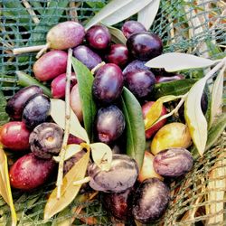 Close-up of fruits in basket