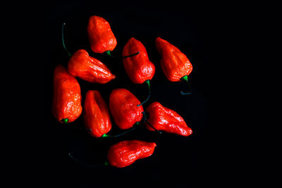 Close-up of red chili peppers against black background