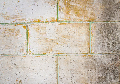 wall - building feature