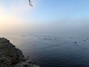 Scenic view of sea against sky