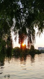 Scenic view of lake at sunset