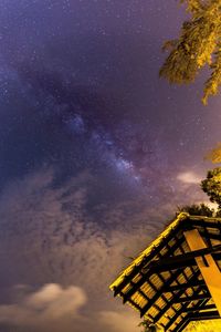 Trees against sky at night