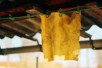 Close-up of clothes drying on clothesline